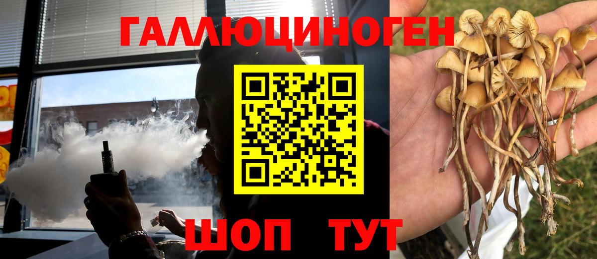 Псилоцибиновые грибы Cubensis Владивосток
