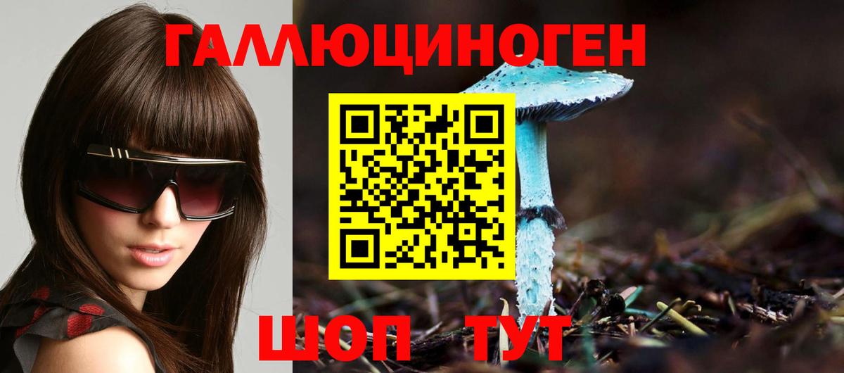 Владивосток  Псилоцибиновые грибы Psilocybe  Вход с VPN  Галлюциногенные грибы GOLDEN TEACHER 